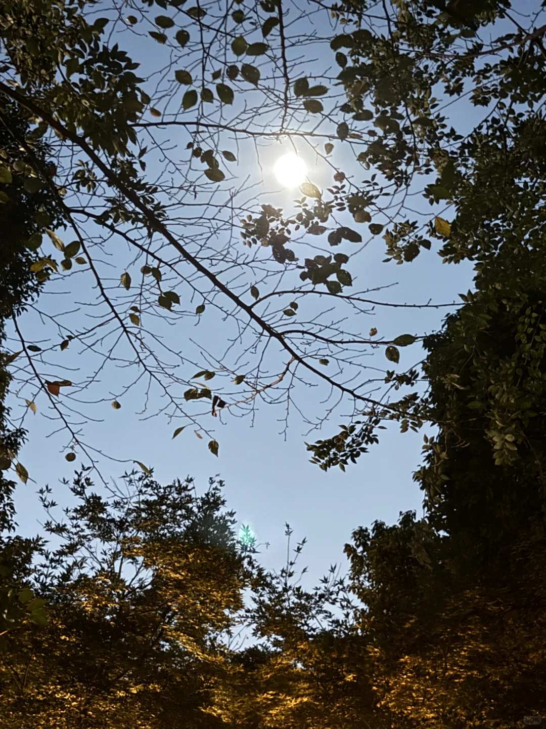 他们在干什么集 朋友 配图