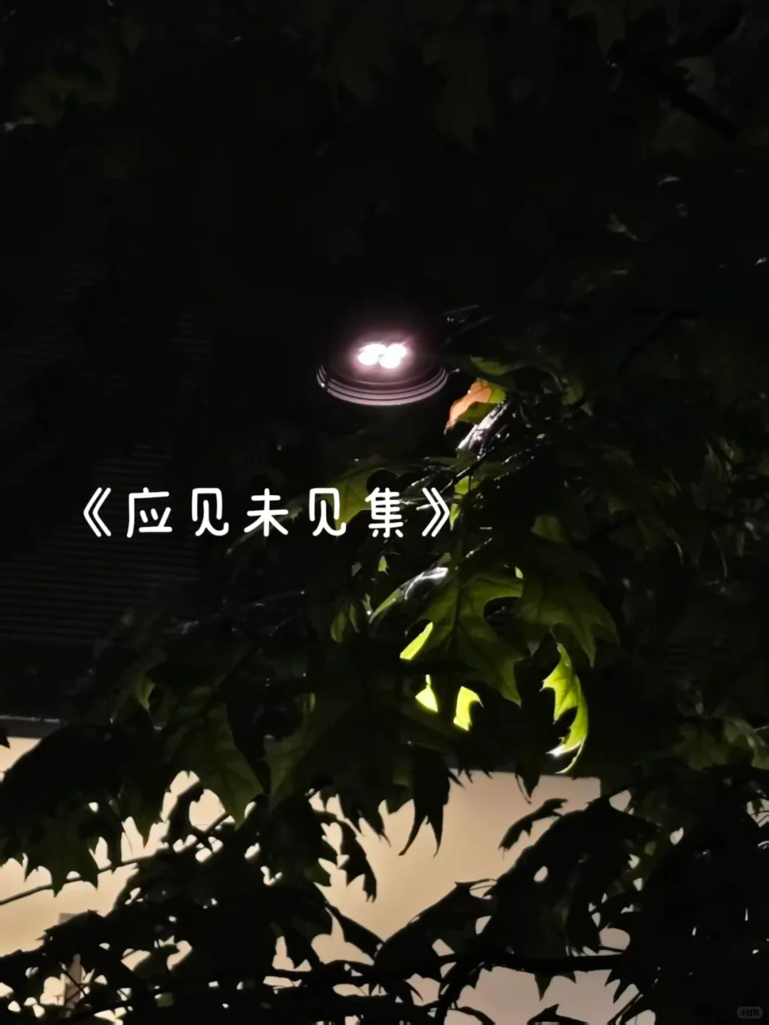 应见未见 【怯】 配图 1